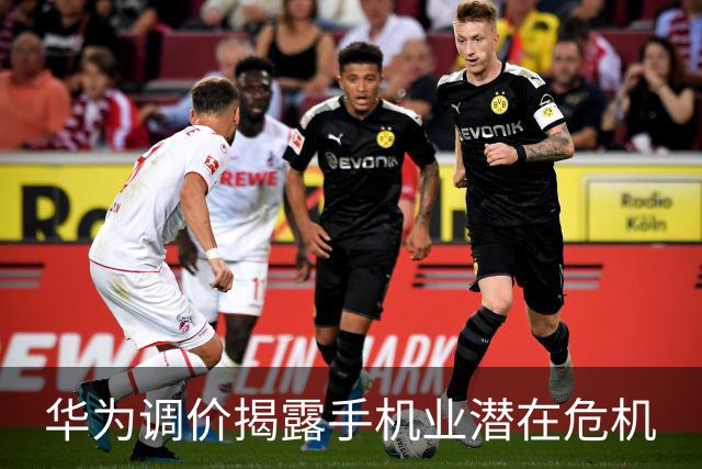 华为调价揭露手机业潜在危机